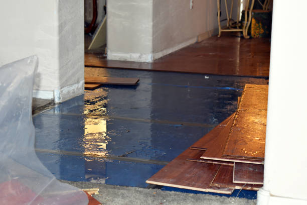 Professional Basement Flood Cleanup technician working in Rye, NY